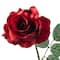 12 Pack: Dark Red Princess Rose by Ashland®